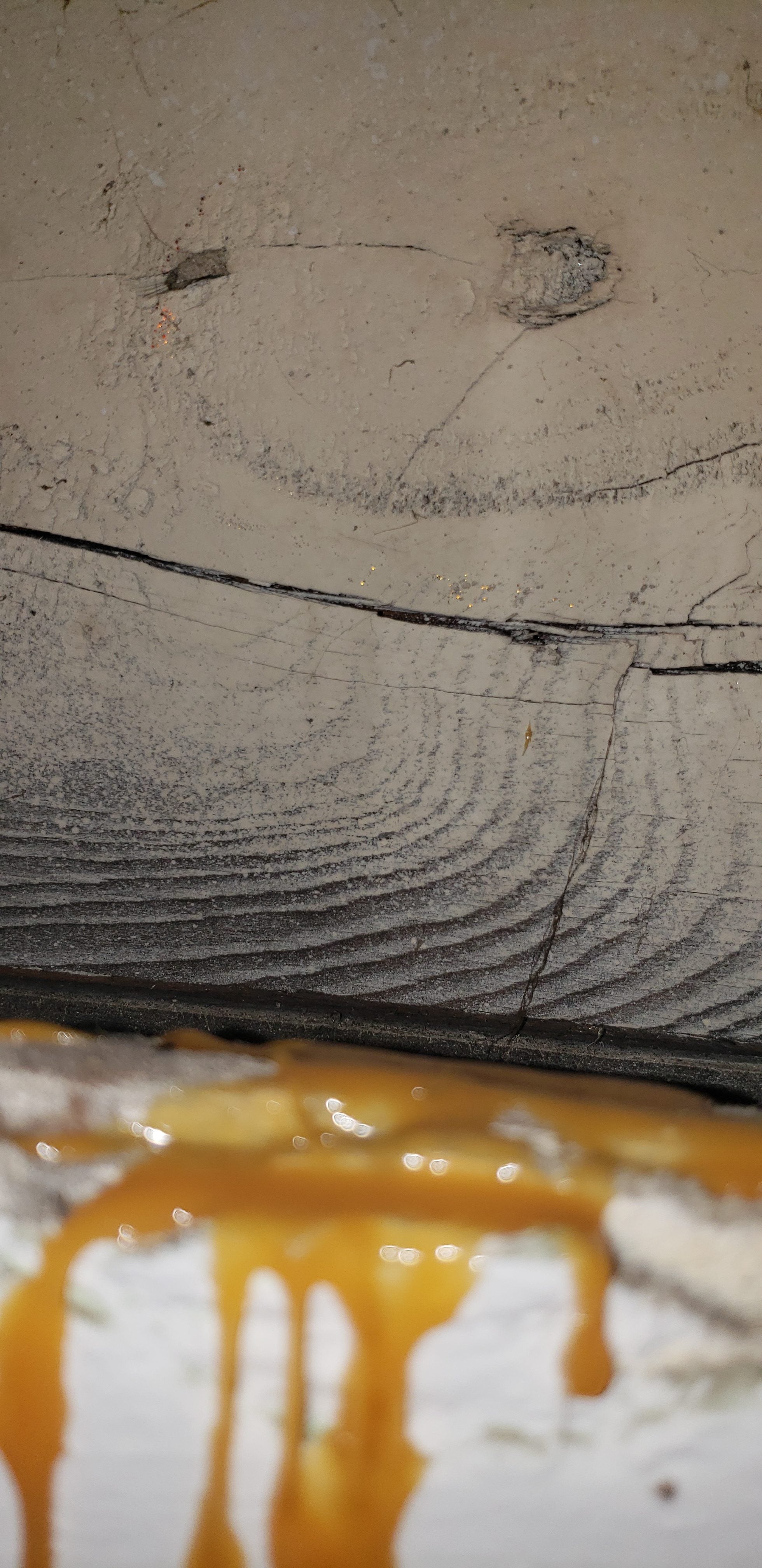 Yellow Sticky Spots On Ceiling