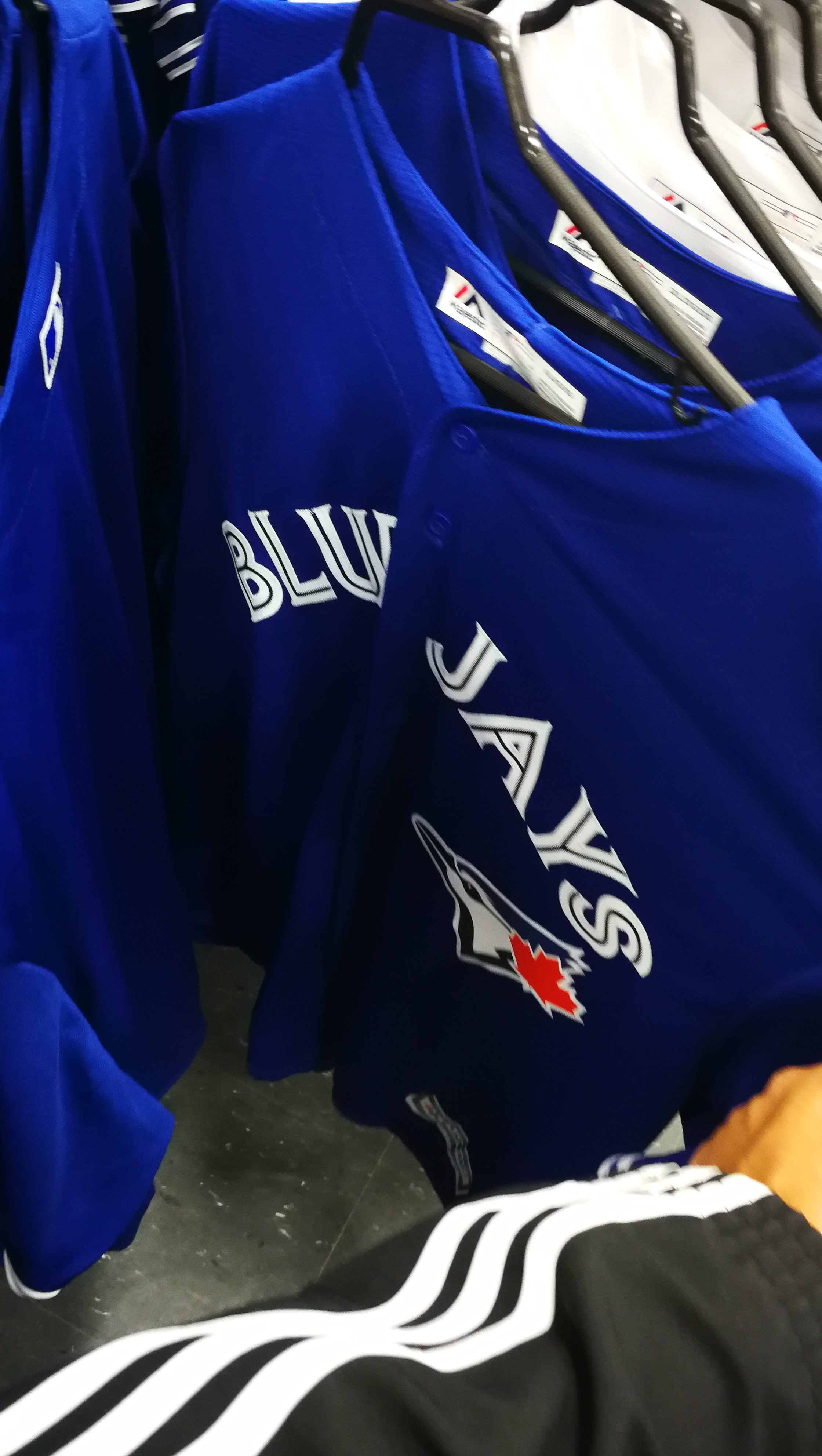 Piper2381: Toronto Blue Jays Promotional Replica Jersey 2014