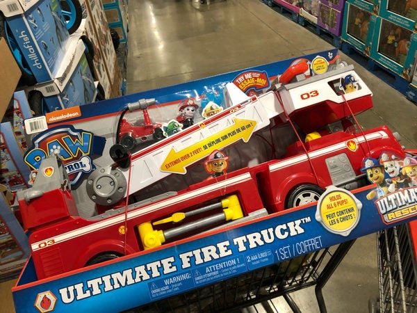 paw patrol set costco