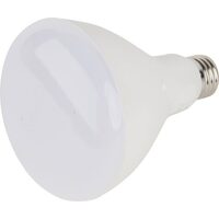 3 Pk BR30 Indoor Led Light Bulbs