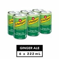 Schweppes Ginger Ale Schweppes Tonic Water or Crush Orange Mini Cans 