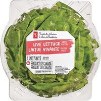 PC Boston Living Lettuce, PC Coleslaw Or Garden Salad