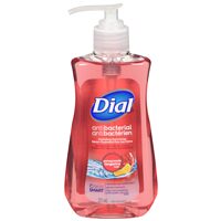 Dial or Softsoap Liquid Hand Soap, Speed Stick Base or Premium Antiperpirant