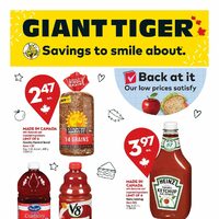 Giant Tiger - Weekly Savings (NB/NS/PE) Flyer