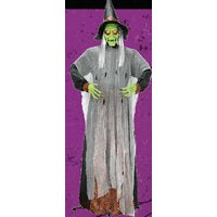 Home Accents Holiday 5.5' Animated Green Witch