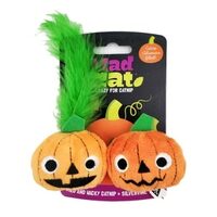 Halloween Cat Toys & Scratchers