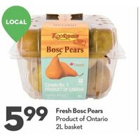 Fresh Bosc Pears