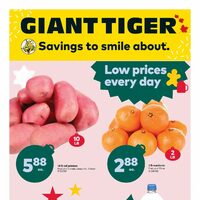 Giant Tiger - Weekly Savings (AB/SK/MB) Flyer