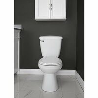Project Source 2-Piece Toilet to Grab