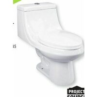 Project Source Huali Dual Flush 1-Piece Elongated Toilet