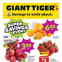 Giant Tiger - Weekly Savings - Super Savings Event (NB/NS/PE) Flyer