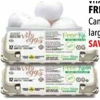 Vita Eggs Free Run Eggs 