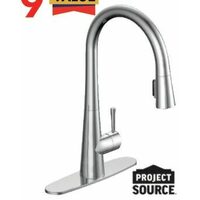 Project Source Yeva Pull-Down Kitchen Faucet