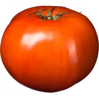 Greenhouse Beefsteak Tomatoes