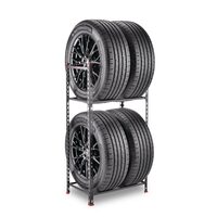 Motomaster Tire Storage Equipment