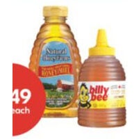 Natural Honey Farms Liquid or Billy Bee Honey