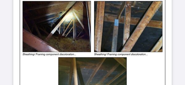 forums.redflagdeals.com