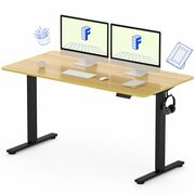 FLEXISPOT 55 x 28 Inches Electric Stand Up Desk $249.98