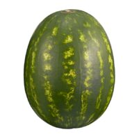 Whole Seedless Watermelon