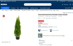 YMMV check your store for inventory 6'-7' Cedar trees $17.50 Reg $70