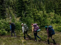 Buy Online and Get $10 Voucher if You Choose to Pick up In-store