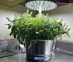 Used: Aerogarden Harvest Elite 360 Stainless Model $34.00