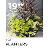 Fall Planters - $19.99/13"pot