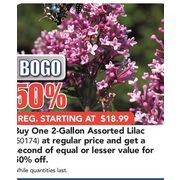 2-Gallon Lilac - BOGO 50% off