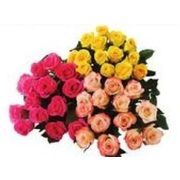 Premium Rose Bouquet - $16.99