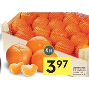 Clementines Or Mandarins - $3.97