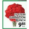 15 Stem Carnation Bunch - $9.88