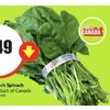 Bunch Spinach - $1.49