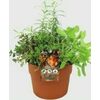 Herb Garden - $16.00