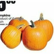 Pumpkins  - $5.99