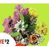 Fall Mixed Bouquets - $7.99 ($2.00 off)