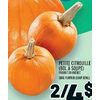 Small Pumpkin (Soup Bowl) - 2/$4.00