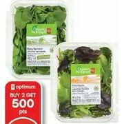 PC Organics Salad Greens - $4.29