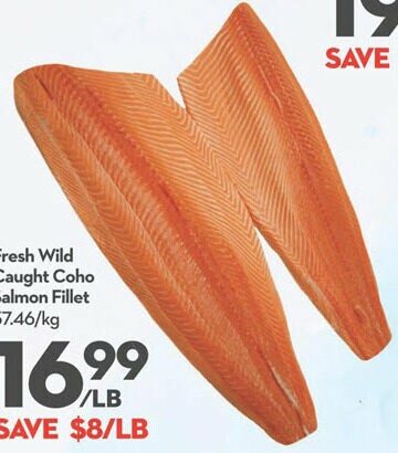 Wild Caught Coho Salmon Fillet