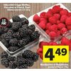 Blackberries or Raspberries - $4.49