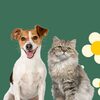 PetSmart: Sign in & Save an Extra 20% Off Through March 17